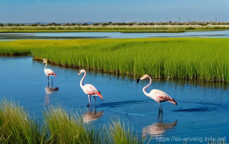 환경 공학 안전 규정 - **Circular Economy at a High-Tech Recycling Plant in Valencia:** Inside a brightly lit, impeccably c...