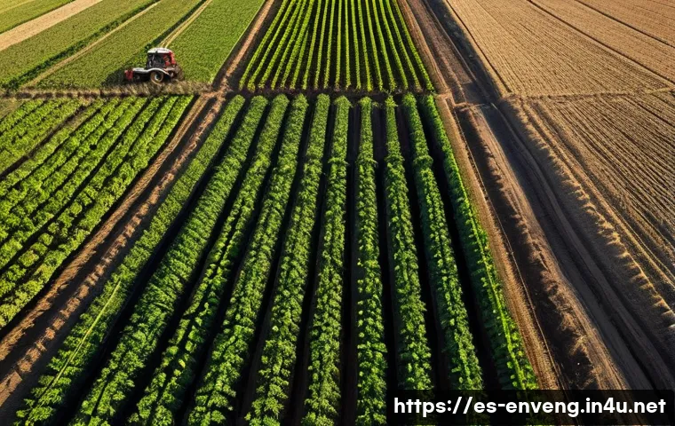토양 복원 기술 - A vibrant agricultural field in a semi-arid region of Spain, showcasing healthy maize and tomato pla...